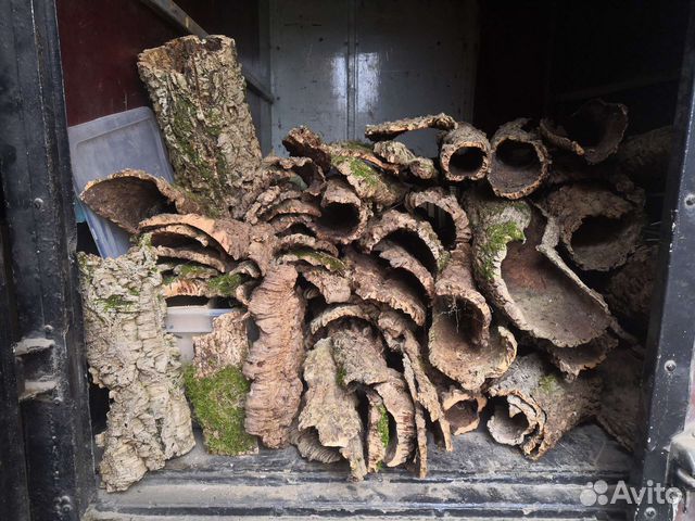 Кора пробкового дуба