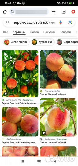 Персик, абрикос, черешня