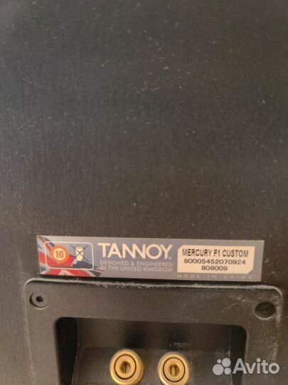 Tannoy mercury F1 custom