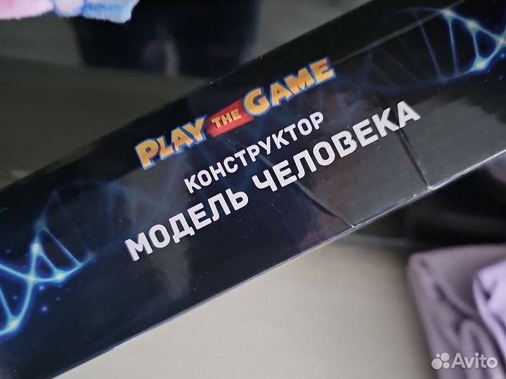 Конструктор модель человека