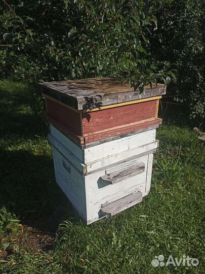 Улей для пчел, дадан 12,14,16 рамочный