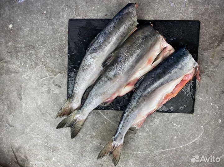Горбуша св/мор б/г