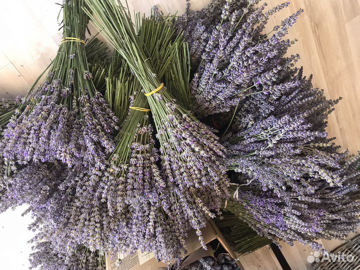 Букет лаванды
