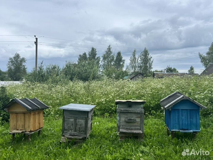 Улей домик для пчел