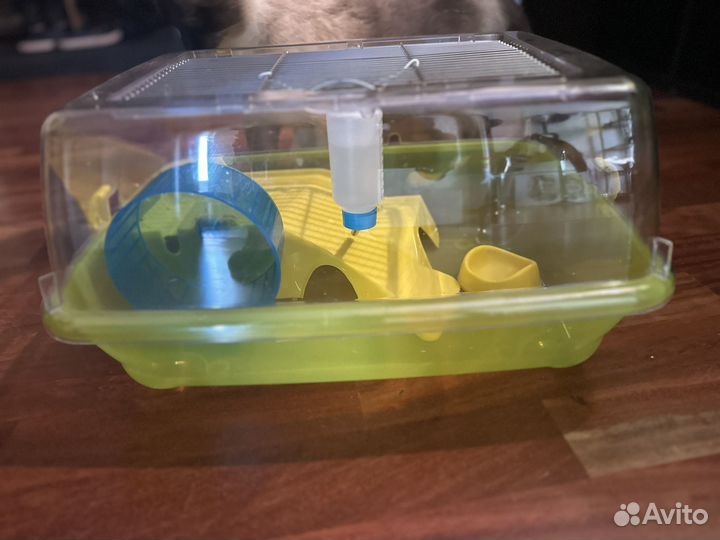 Клетка дюна