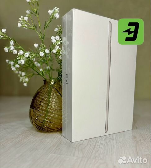 Apple iPad 9th Generation 10.2 New Silver