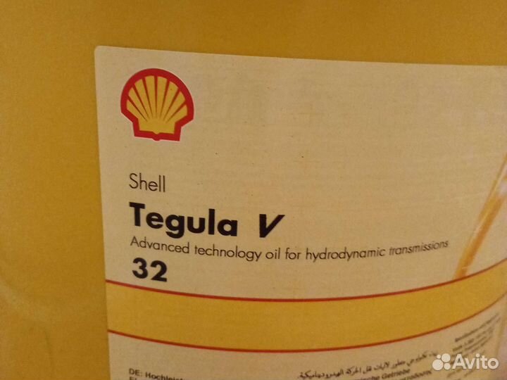 Shell Tegula