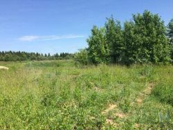 Участок 1,5 га (ИЖС)