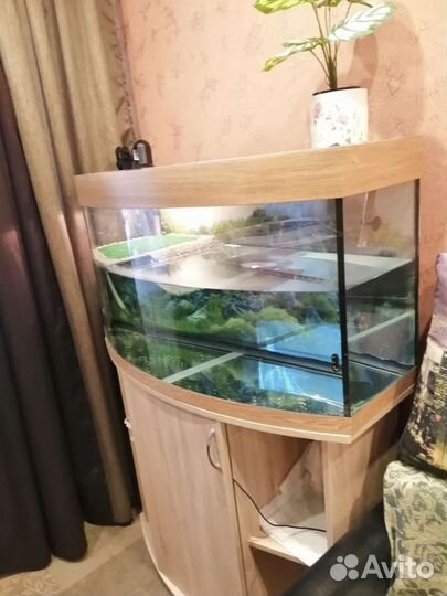 Аквариум для черепахи 200 литров