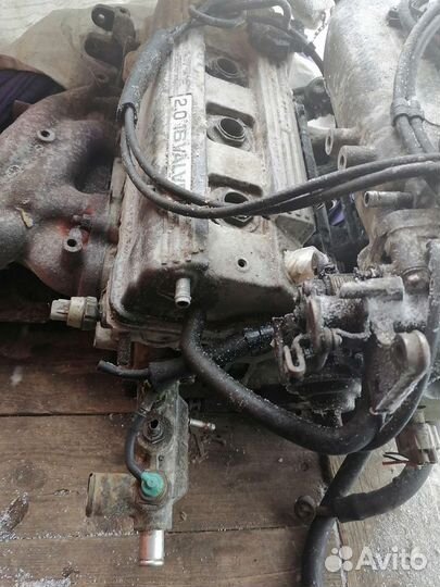 Гбц Карина е Калдина Корона