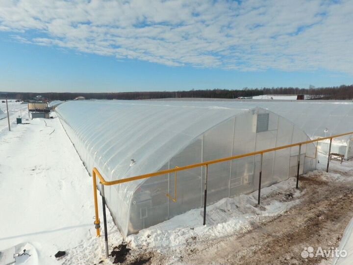 Теплицы промышленные шириной от 8 до 20 м