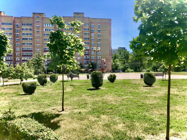 2-к. квартира, 53,4 м², 7/9 эт.