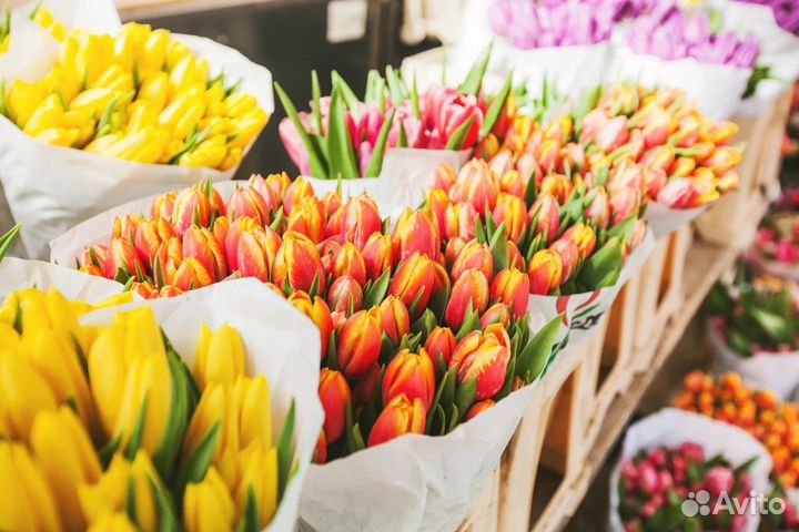 Тюльпаны к 8 марта оптом/розница