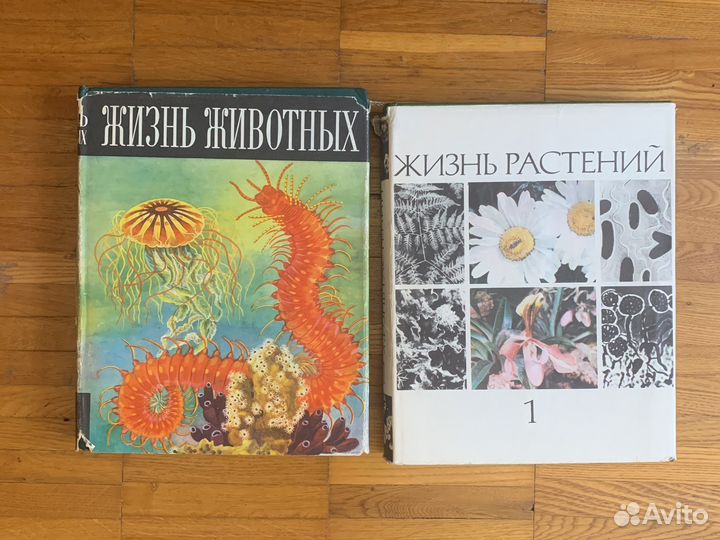 Энциклопедии СССР