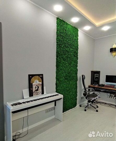 Панно из мха мох стабилизированный фитостена фиток