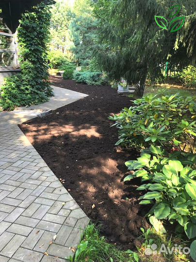 Рулонный газон. Укладка газона