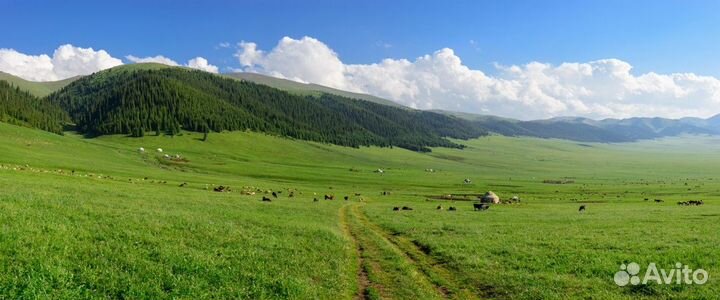 Экскурсия — Алматы — Из Алматы – к высокогорному п