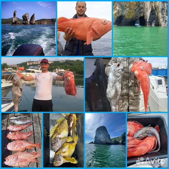 Морские экскурсии каждый день.Рыбалка.Крабалка