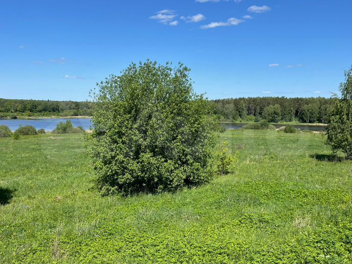 Участок 10 сот. (ИЖС)