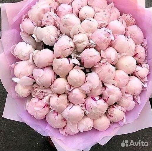 Пионы Букет