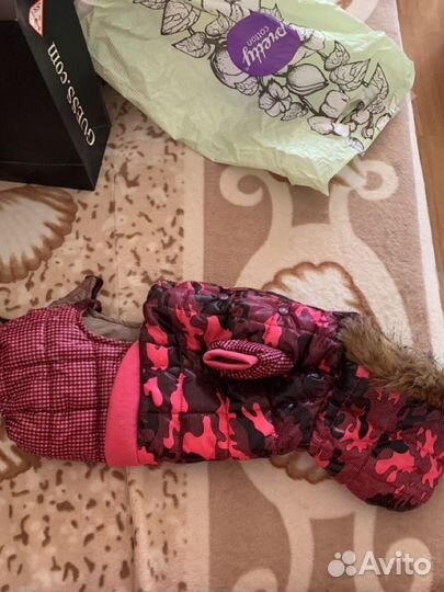 Костюм для собаки