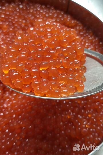 Икра от производителя