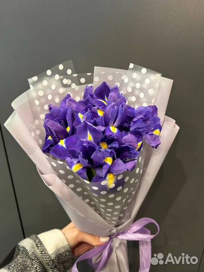 Букет из 11 синих ирисов