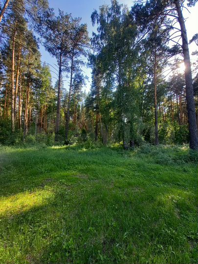 Дом 36,7 м² на участке 5 сот.