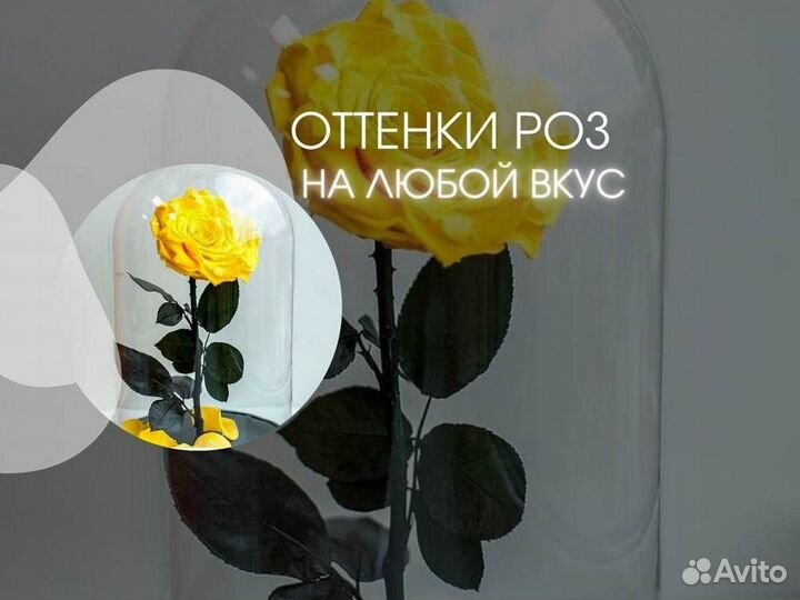 Роза в колбе. Качественная
