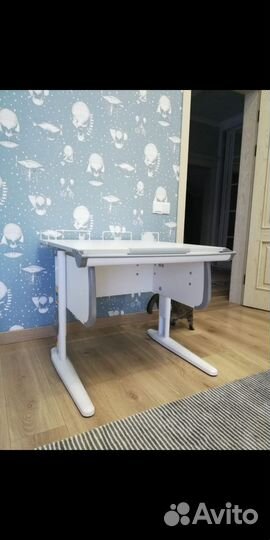 Растущая парта и стул Дэми