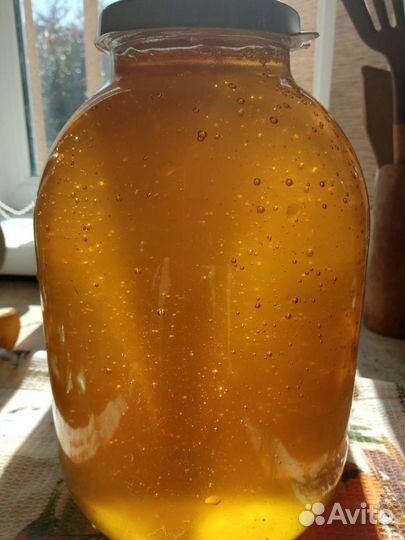 Мед кориандр