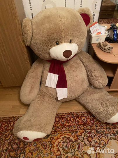 Большие плюшевые медведи
