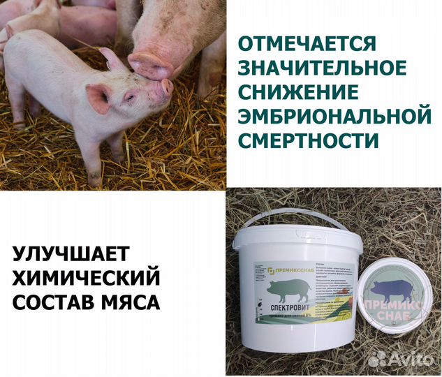 Бмвк- кормовая добавка для поросят