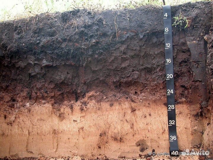 Продам плодородную землю