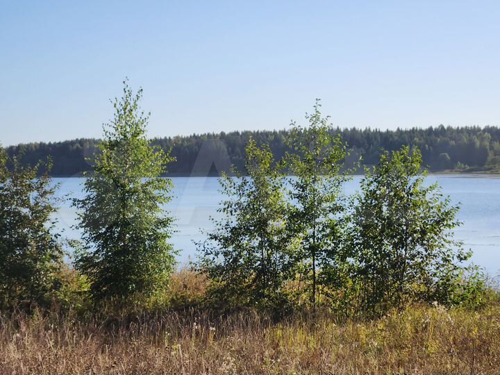 Участок 100 сот. (ИЖС)