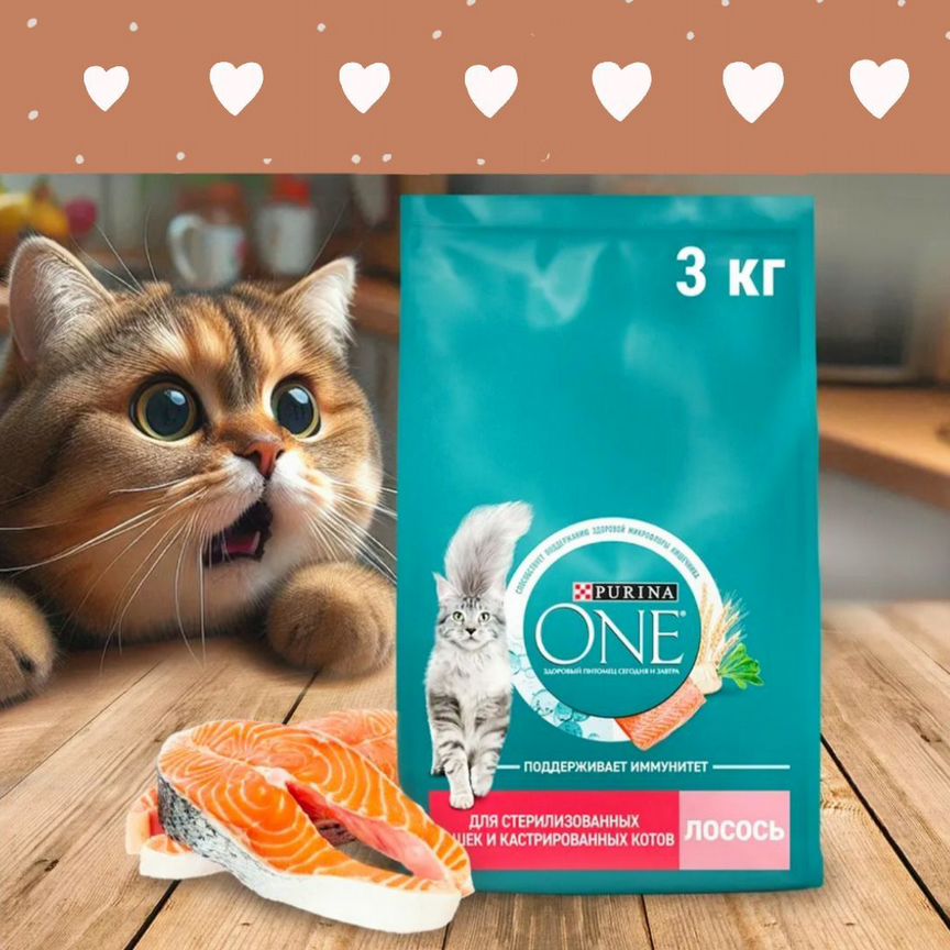 Сухой корм для кошек Purina ONE