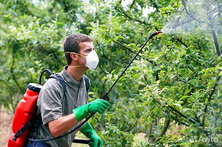 Покос травы триммером