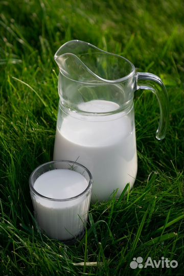 Молоко, сыр