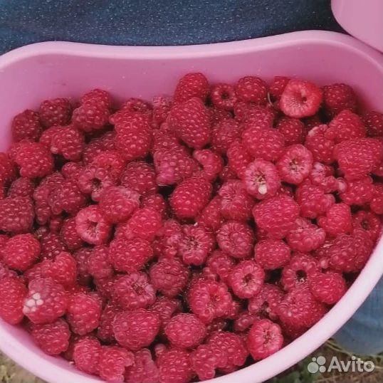 Малина ягоды