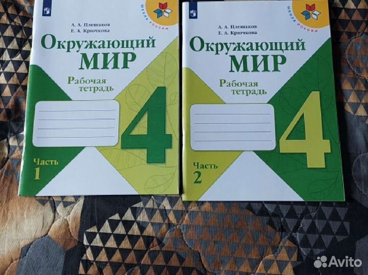 Рабочие тетради окружающий мир 4 класс
