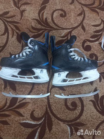 Хоккейные коньки bauer nexus