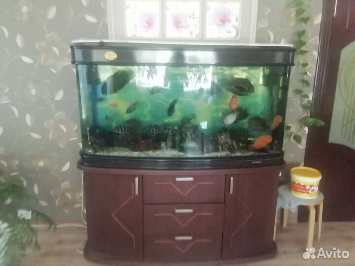 Аквариум