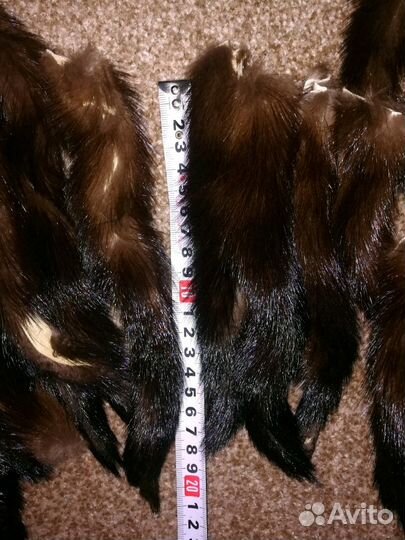 Хвосты норки