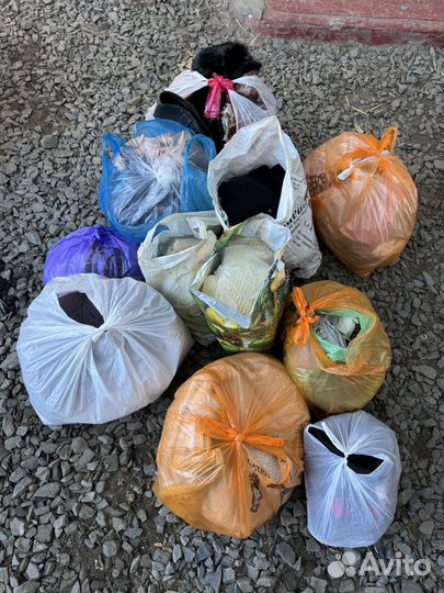 Пакеты женских и мужских вещей