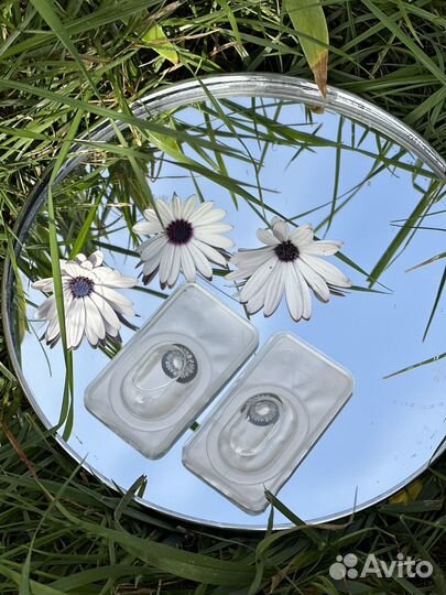 Цветные линзы