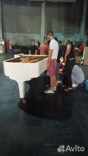 Грузчики на час разнорабочие круглосуточно