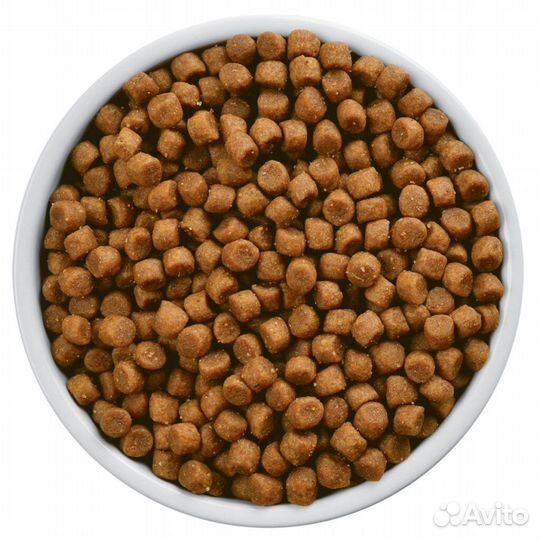 Сухой корм для больших и средних питомцев