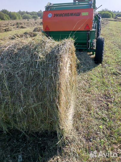 Продам сено в тюках