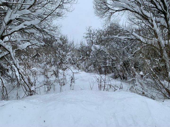 Участок 8 сот. (ИЖС)