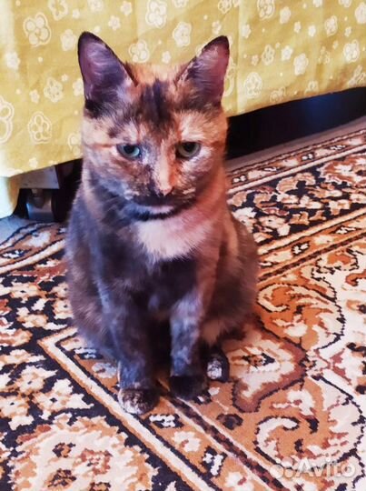 Бонечка ждет свою семью